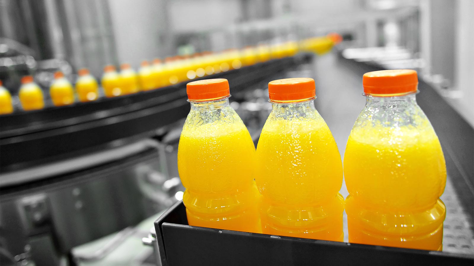 La vida azul Alcampo